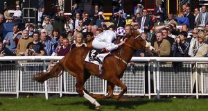 Dawn Approach at the Curragh.