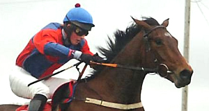 Peddlers Cross